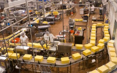 Packaging Machinery: An Essential Guide for Businesses